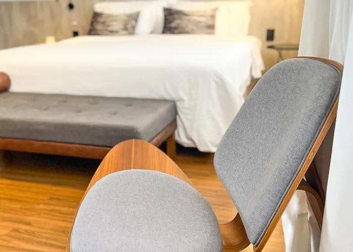Hotel Swan Generation 4*